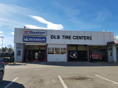 Company logo of DLS Tire Centers, Inc.