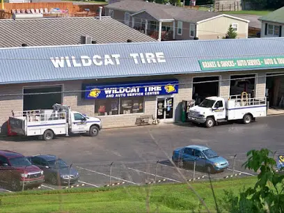 Company logo of Wildcat Tire and Auto