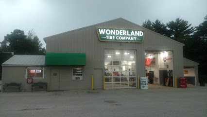 Business logo of Wonderland Tire - Scottville, MI