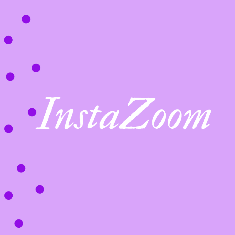 Business logo of InstaZoom