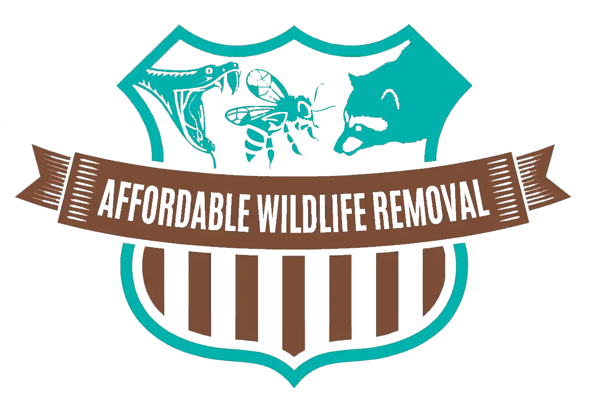 Business logo of Affordable Wildlife Removal