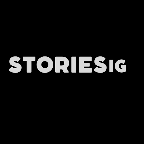 Company logo of Storiesig