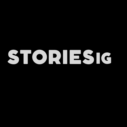 Business logo of Storiesig