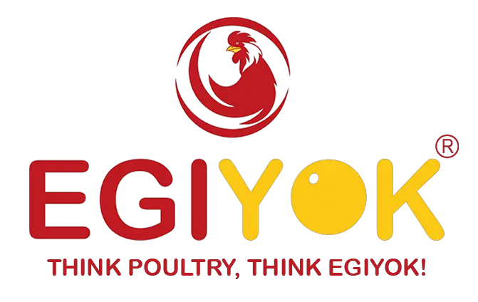Business logo of Egiyok