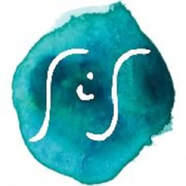 Company logo of Swimming in Stones