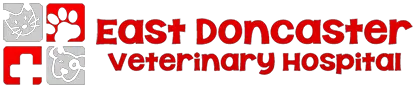 Business logo of East Doncaster Veterinary Hospital