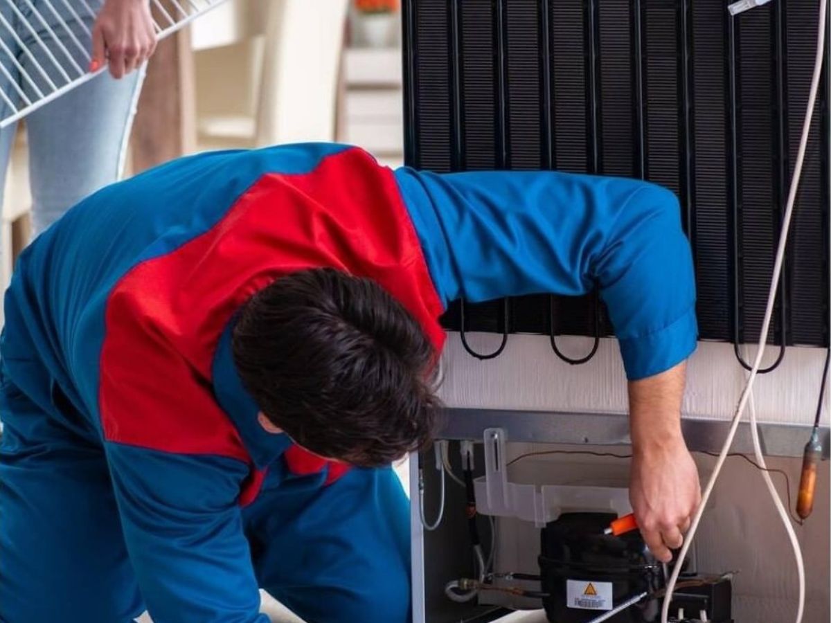 Best Appliance Repair Expert