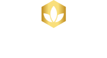 Business logo of The Dental Spa - Philadelphia