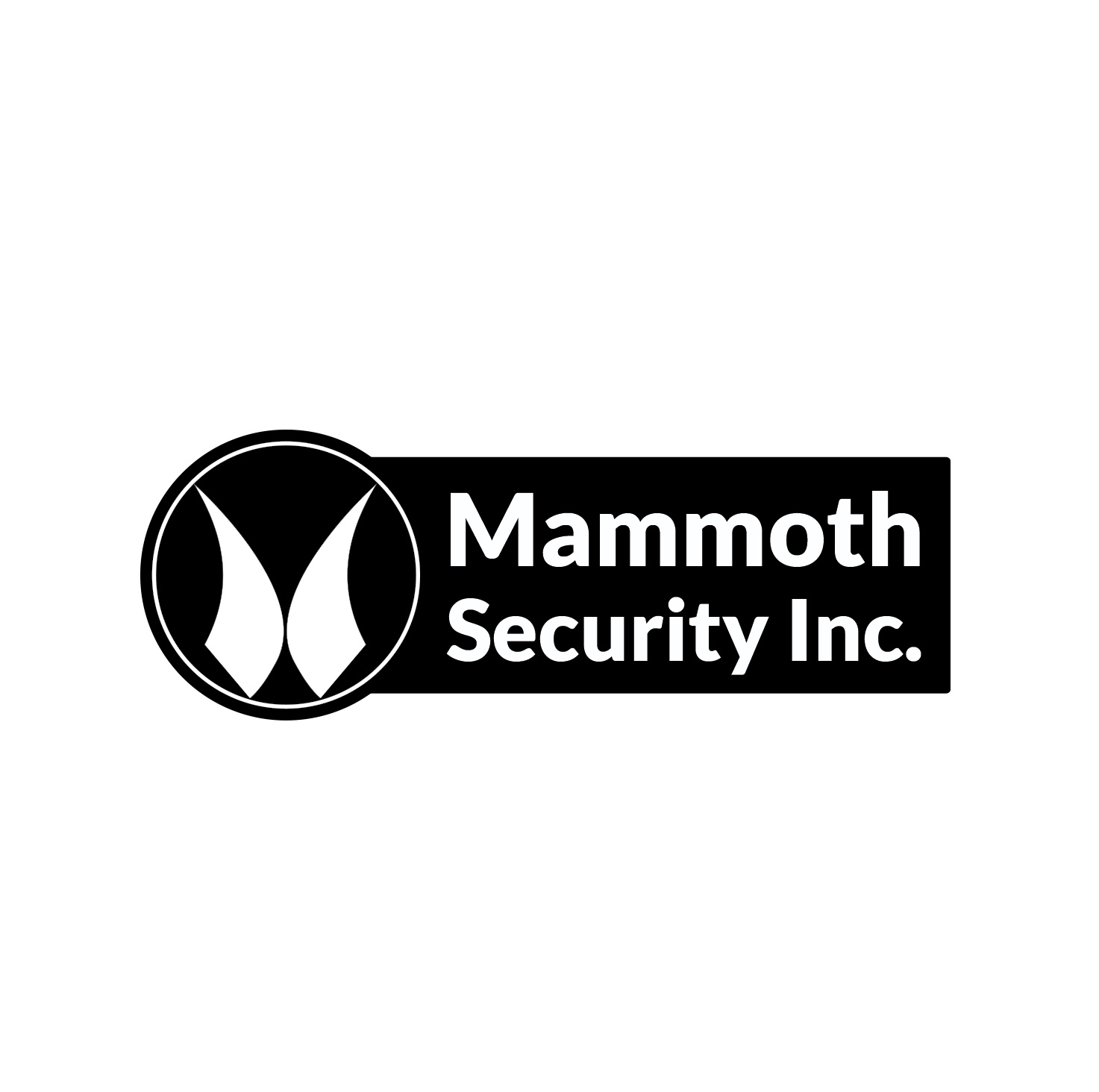 Company logo of Mammoth Security Inc. West Hartford