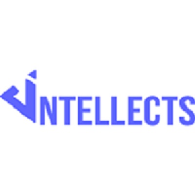 Company logo of Dintellects Solutions Private Limited
