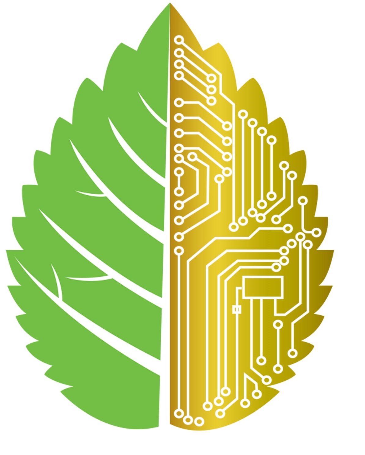 Company logo of Computer Data Shred Ltd