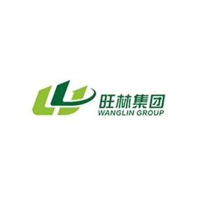 Company logo of Hubei Wanglin New Material Technology Co., Ltd.