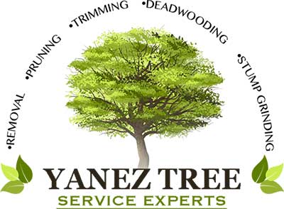Business logo of Yanez Tree Service Experts