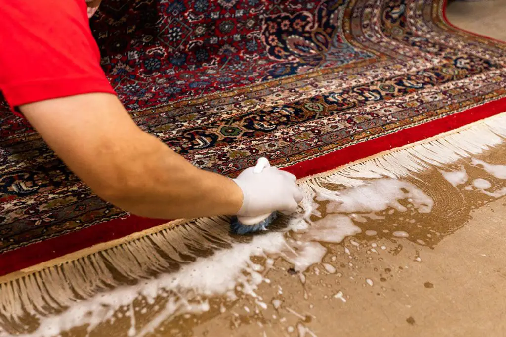 Business logo of Best Carpet Repair and Cleaning Services In Florida USA