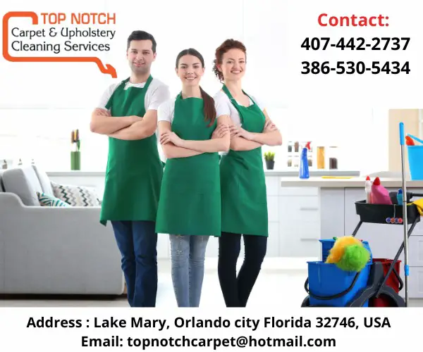 Company logo of Top Notch Carpet & Upholstery Cleaning Service