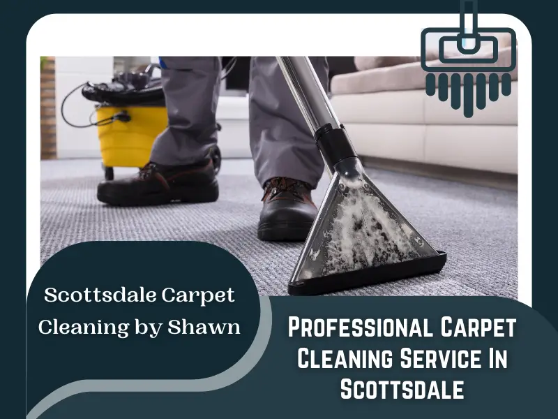 Carpet Cleaning services