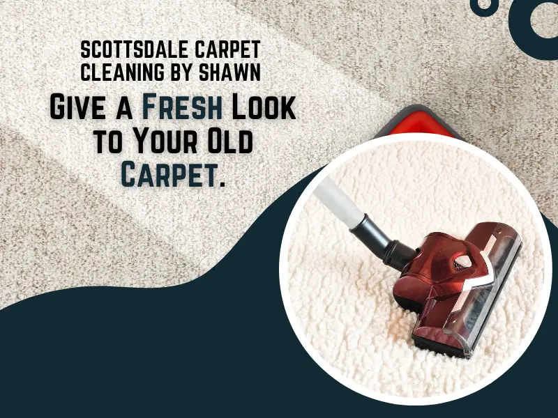 Carpet Cleaning services