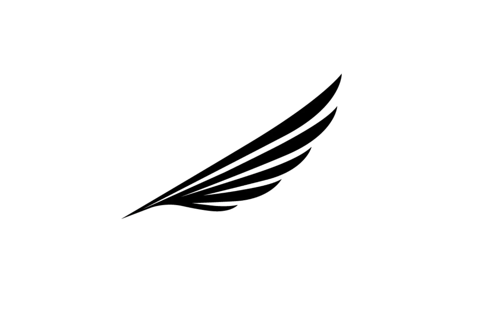 Business logo of Chief Executive Air
