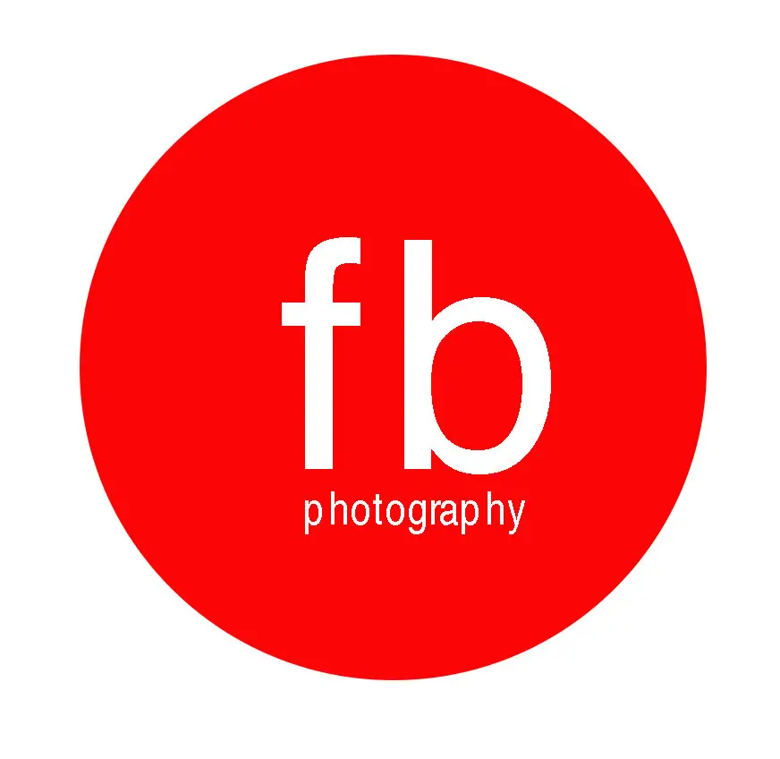 Business logo of Francois  Boulaire Photography