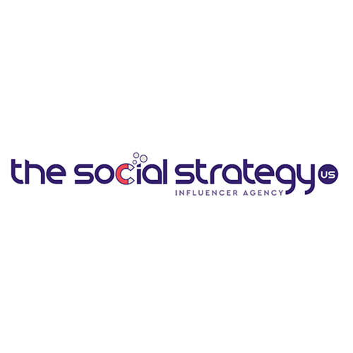 Business logo of The Social Strategy
