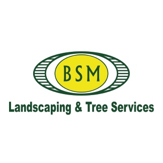 Company logo of BSM Landscaping and Tree Service