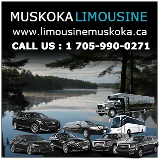 Business logo of Muskoka Limousine