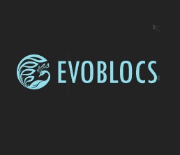 Company logo of EvoBlocs