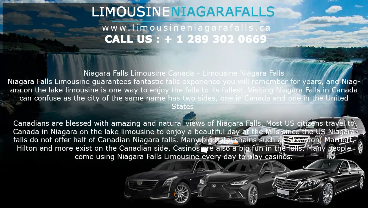 Company logo of Niagara Falls limousine