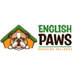 Business logo of English Paws