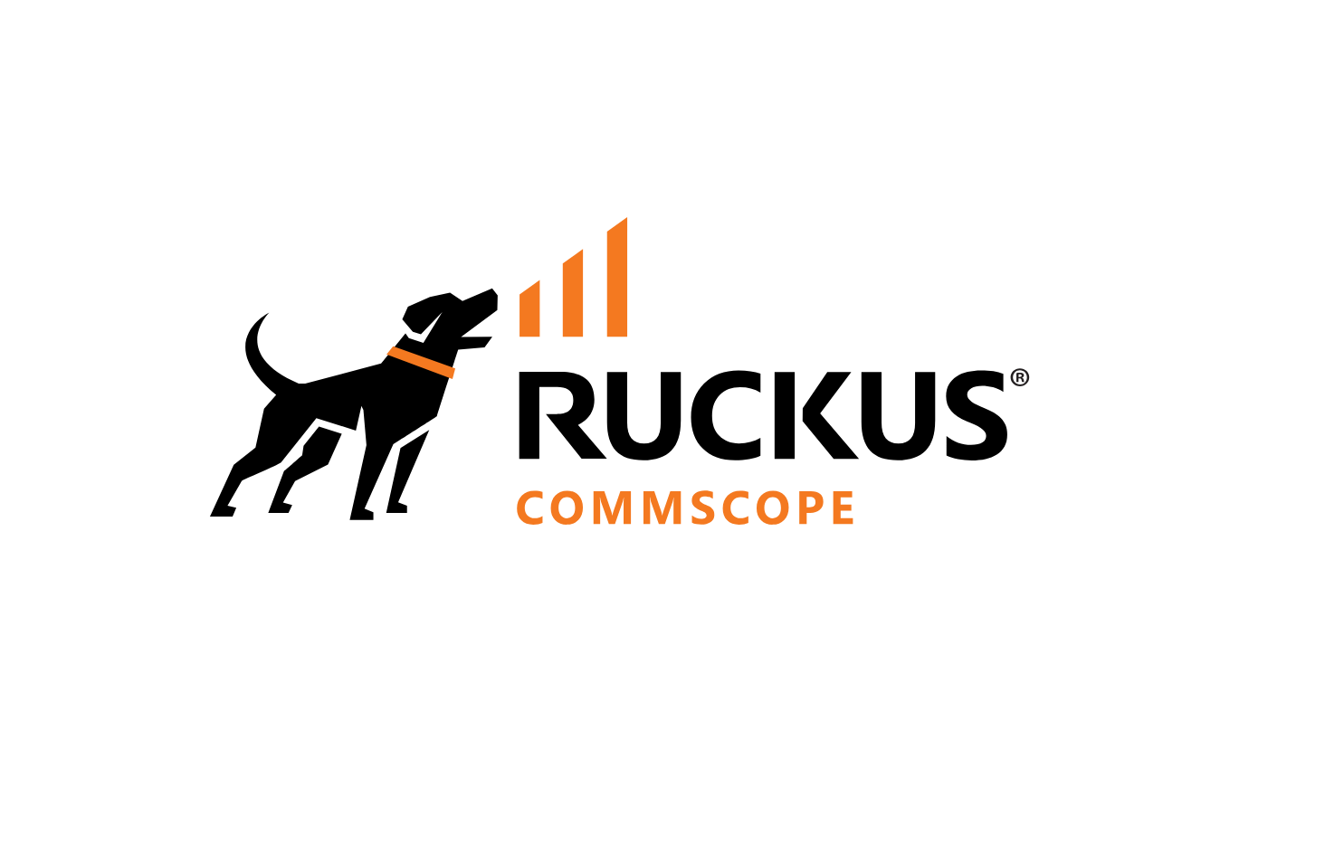 Ruckus Network.png