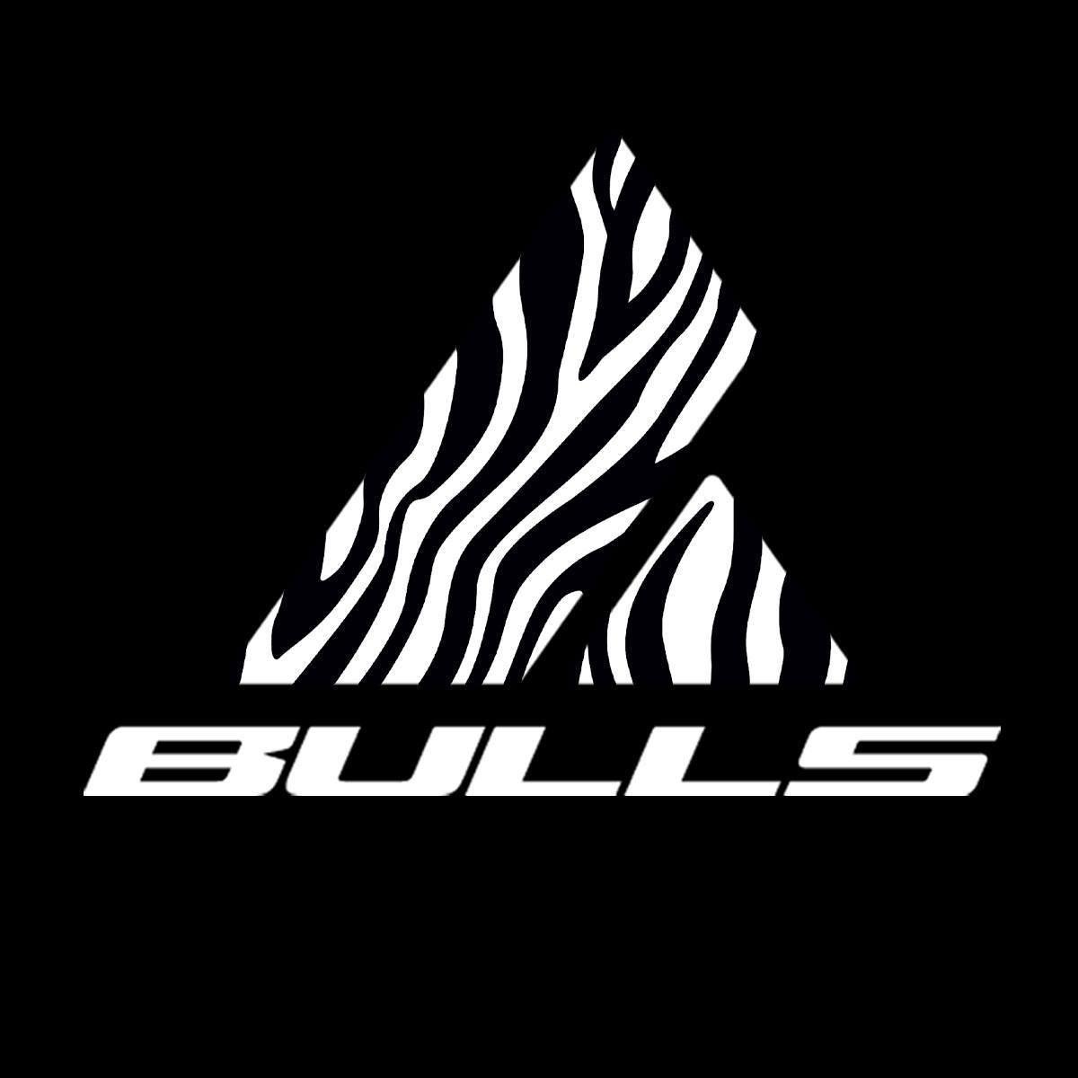 Company logo of Bulls Bikes USA