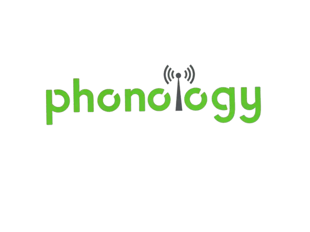 Phonology IT Solution