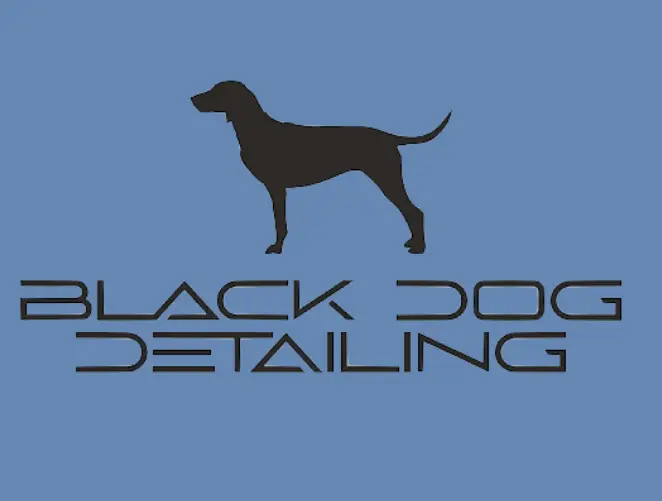 Company logo of Black Dog Yacht Management