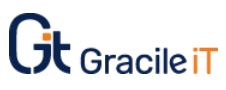 Business logo of Gracile IT