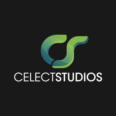 Business logo of Celectstudios