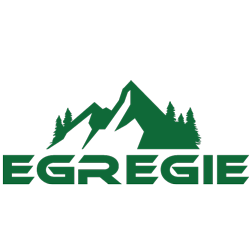 Business logo of Egregie LLC