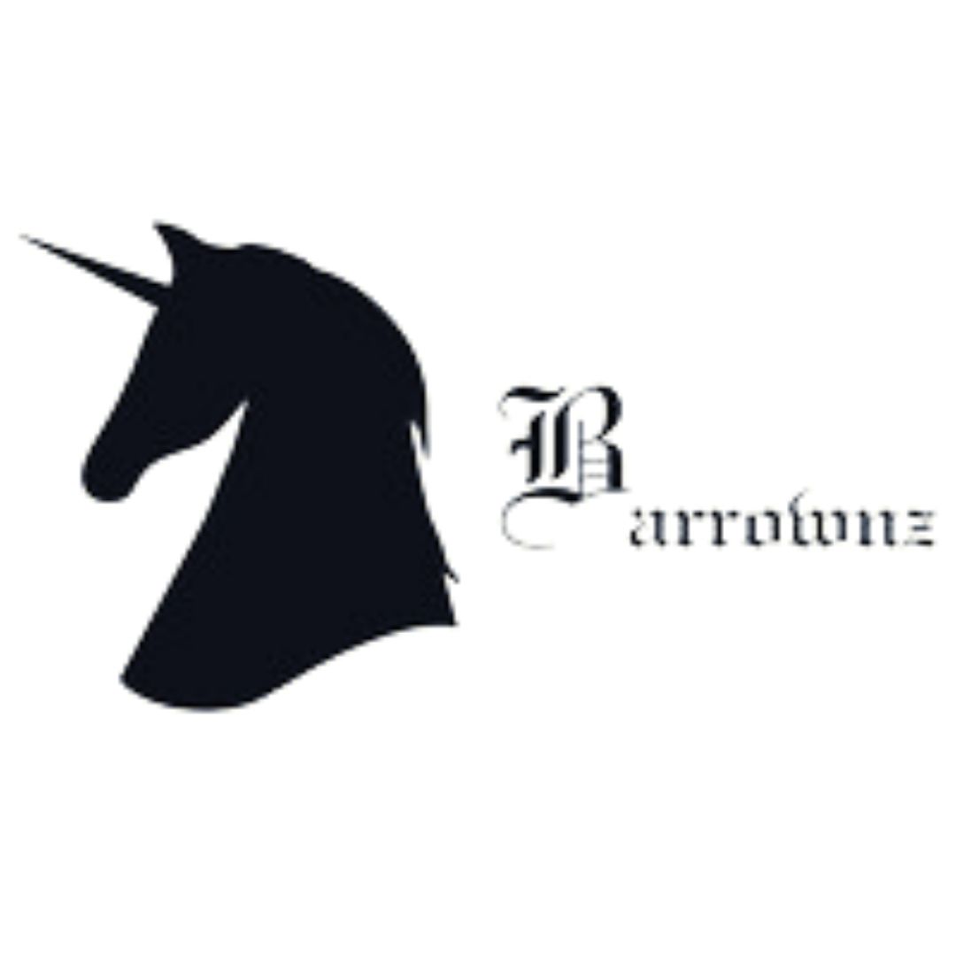 Business logo of Barrownz-Group