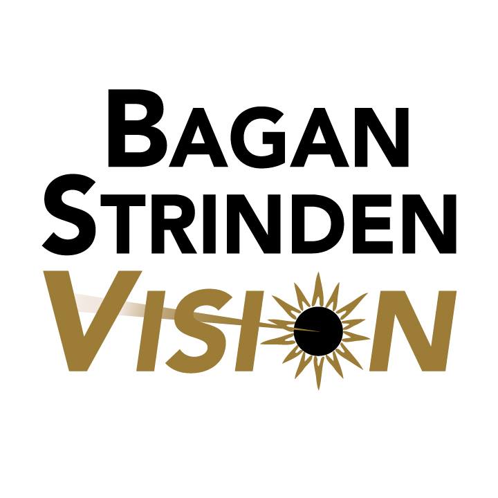 Business logo of Bagan Strinden Vision