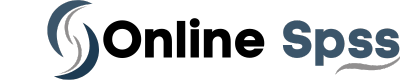 Business logo of OnlineSPSS