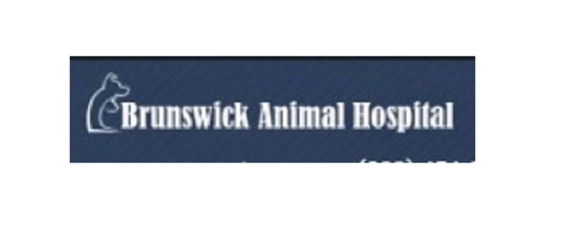 Business logo of Brunswick Animal Hospital