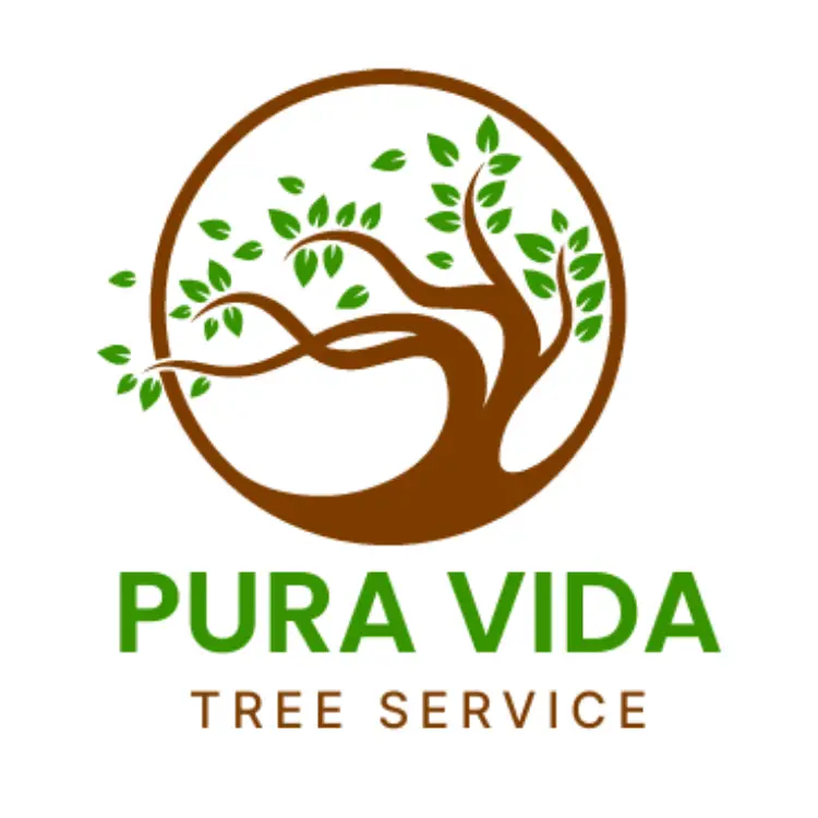 Business logo of Pura Vida Tree Service