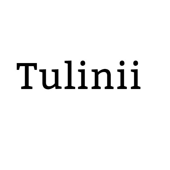 Business logo of Tulinii