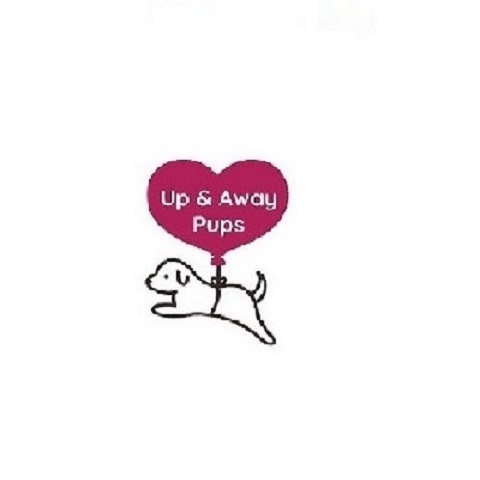 Business logo of Up & Away Pups