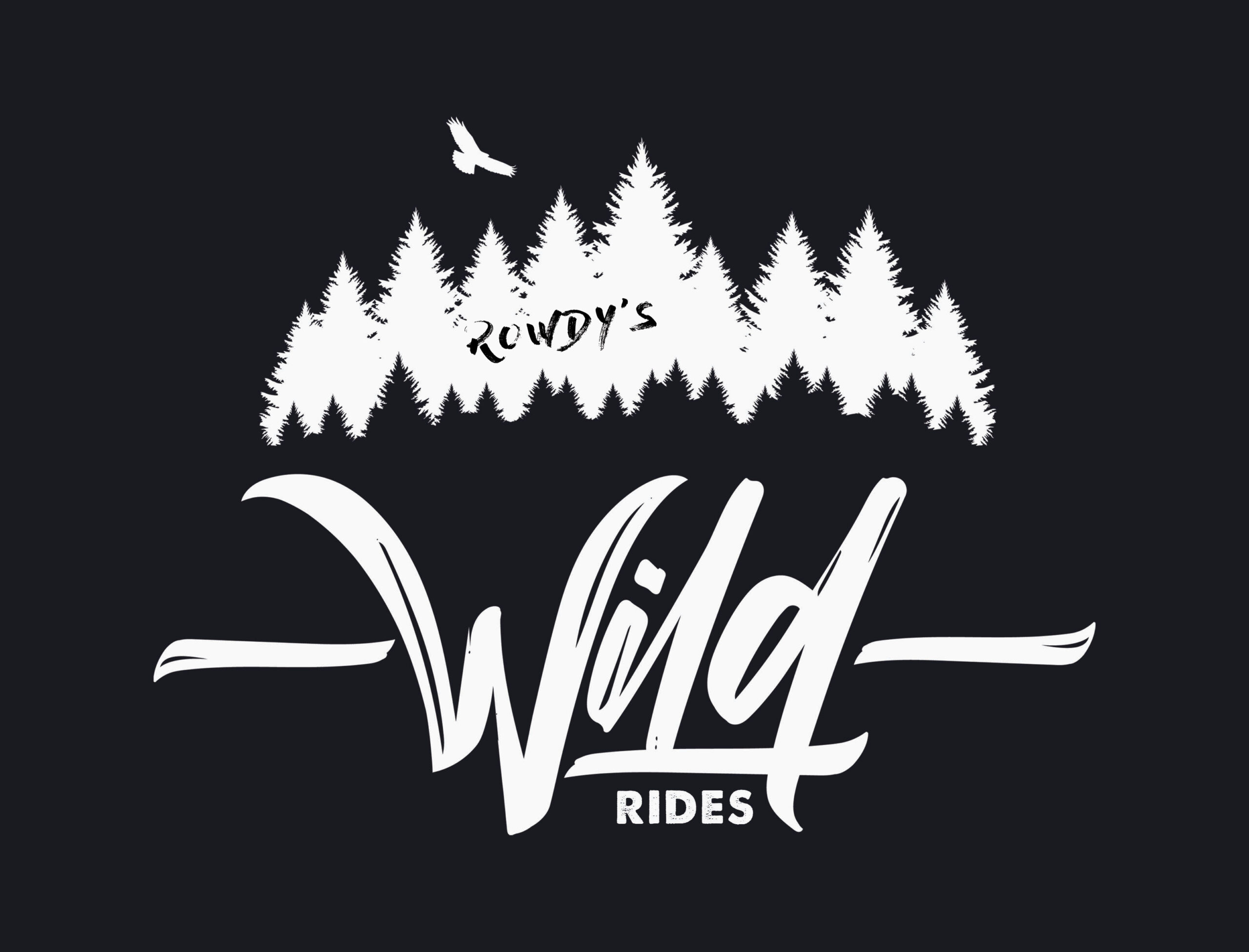 Business logo of Rowdy's Wild Rides