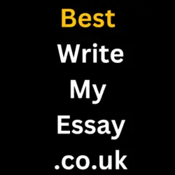 Business logo of Best Write My Essay