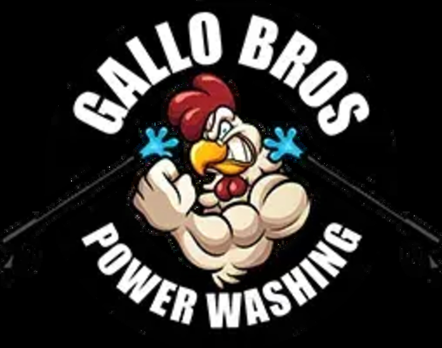 Business logo of Gallo Bros Power Washing