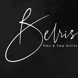 Business logo of Belris Art